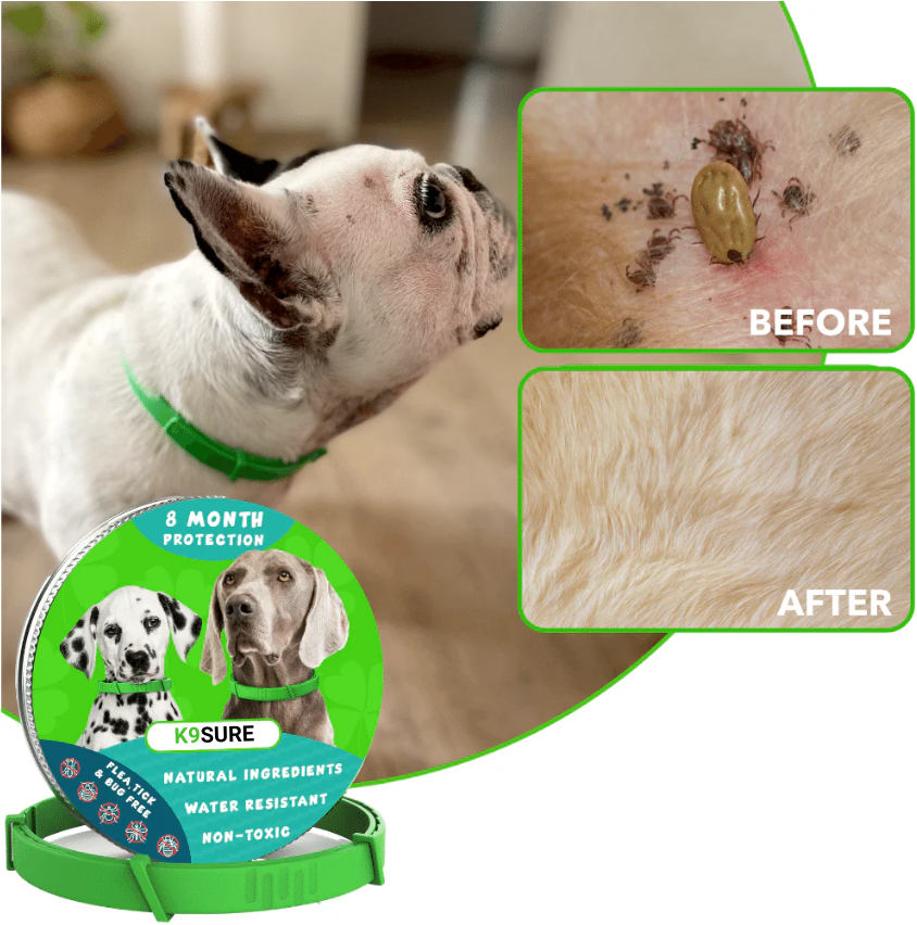K9SURE™ - 8 months flea and tick-free